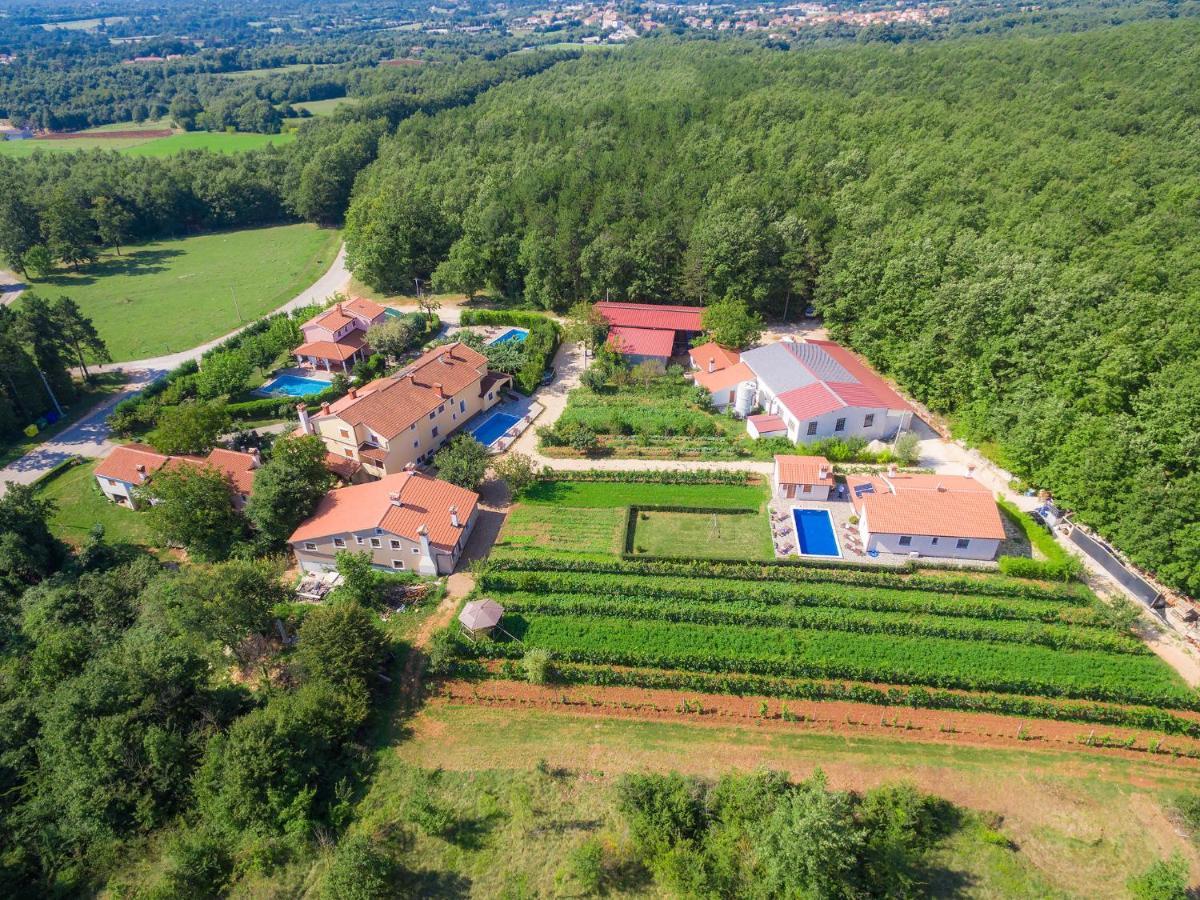 Holiday Home Jakov - Roj431 By Interhome Žminj المظهر الخارجي الصورة